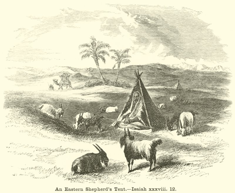 Bir Doğulu Çoban Çadırı, İşaya, xxxviii, 12 by English School