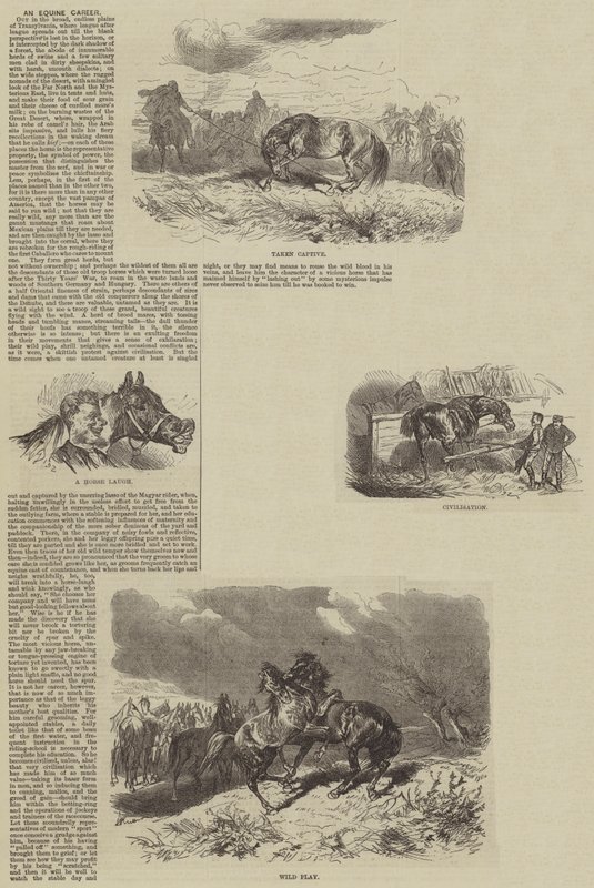 Bir At Kariyeri (gravür) by English School