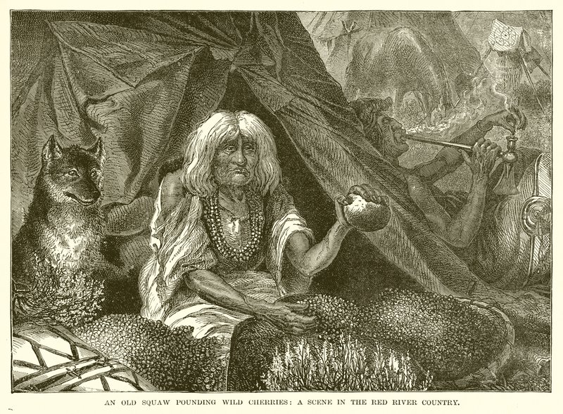 Yabani Kirazları Vuran Yaşlı Bir Squaw: Red River Country