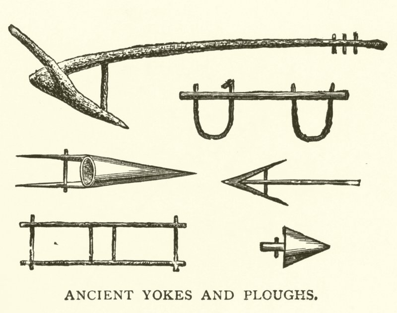 Kadim Boyunduruklar ve Pulluklar (gravür) by English School
