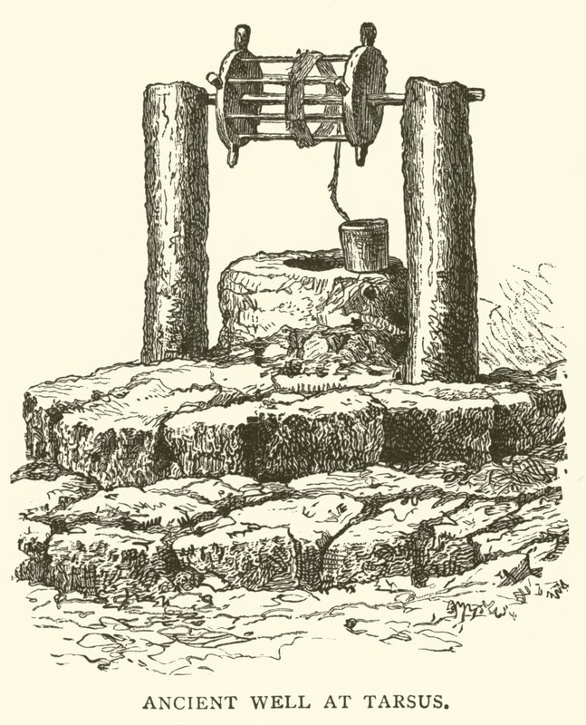 Tarsus