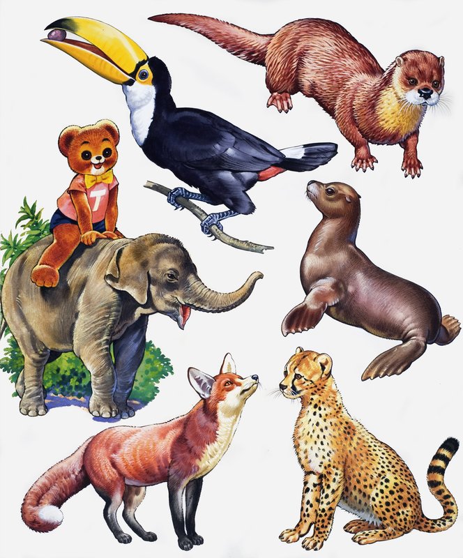 Animal montage by English School