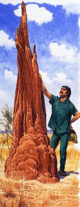 Karınca Tepesi by English School