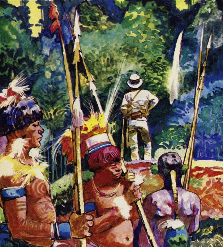 Antonio Raimondi, Amazon