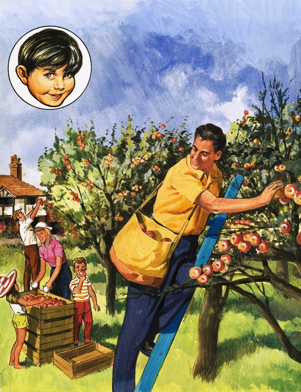 elma toplayıcıları by English School