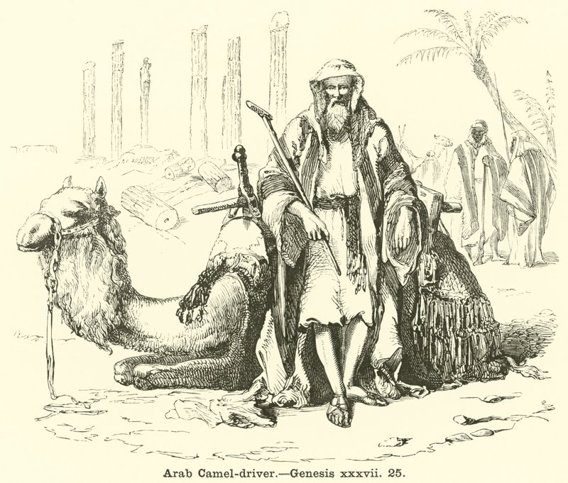 Arap Deve Sürücüsü, Genesis, xxxvii, 25 by English School