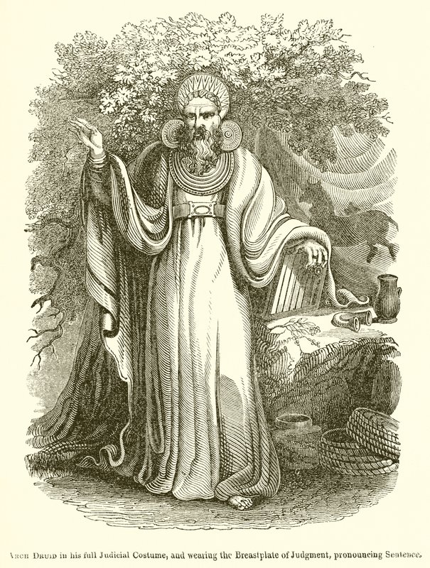 Arch Druid, Adli Kostümü içinde ve Yargının Göğüs Zırhını takmış, Cümleyi Söylerken by English School
