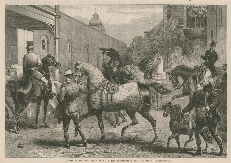 Tarım Salonundaki At Gösterisine Gelenler by English School