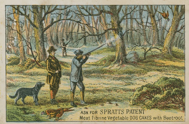 Spratts Patentini İsteyin by English School