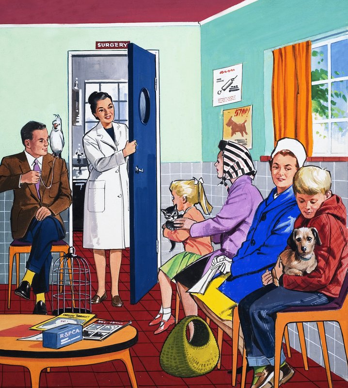 veterinerlerde by English School