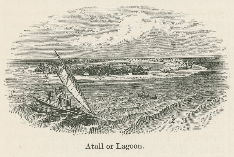 Atoll veya lagün (gravür) by English School