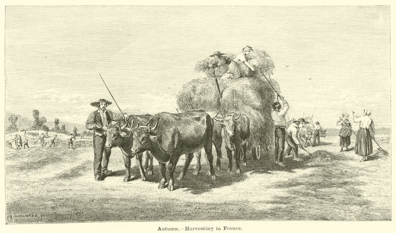 Sonbahar, Fransa