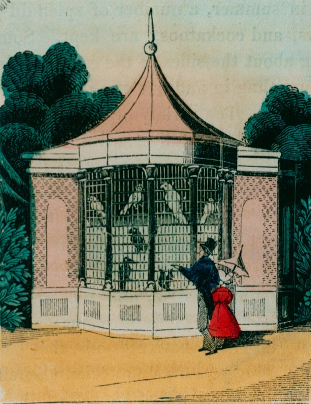Londra hayvanat bahçesinde papağanlar ve kakadular için kuşhane. 1840