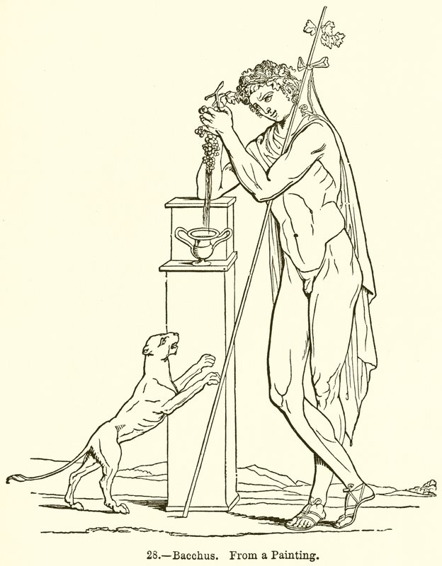 Baküs by English School