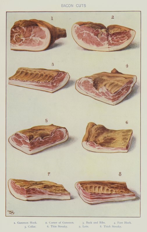 Pastırma kesimleri (renkli lito) by English School