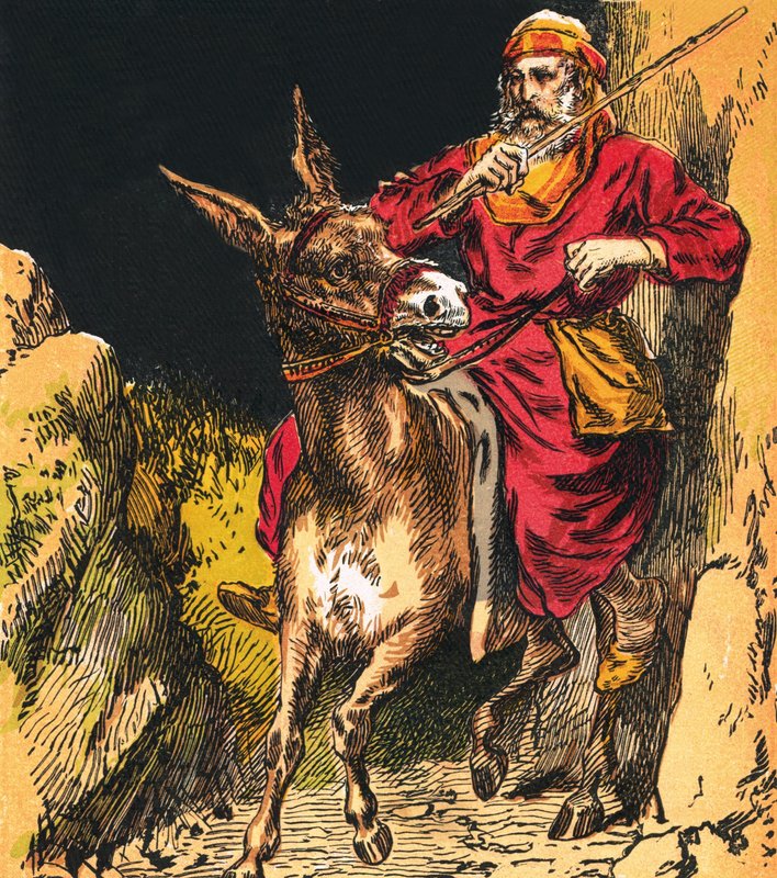 Balam by English School