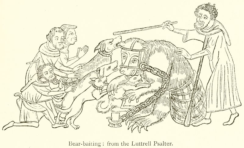 ayı-baiting by English School