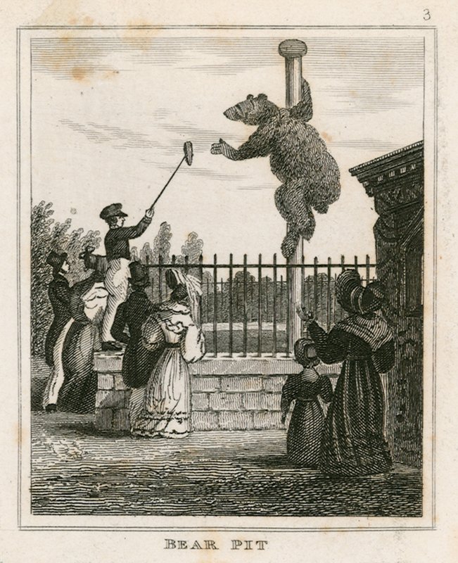 Bear Pit, Londra Hayvanat Bahçeleri, Regents Park by English School
