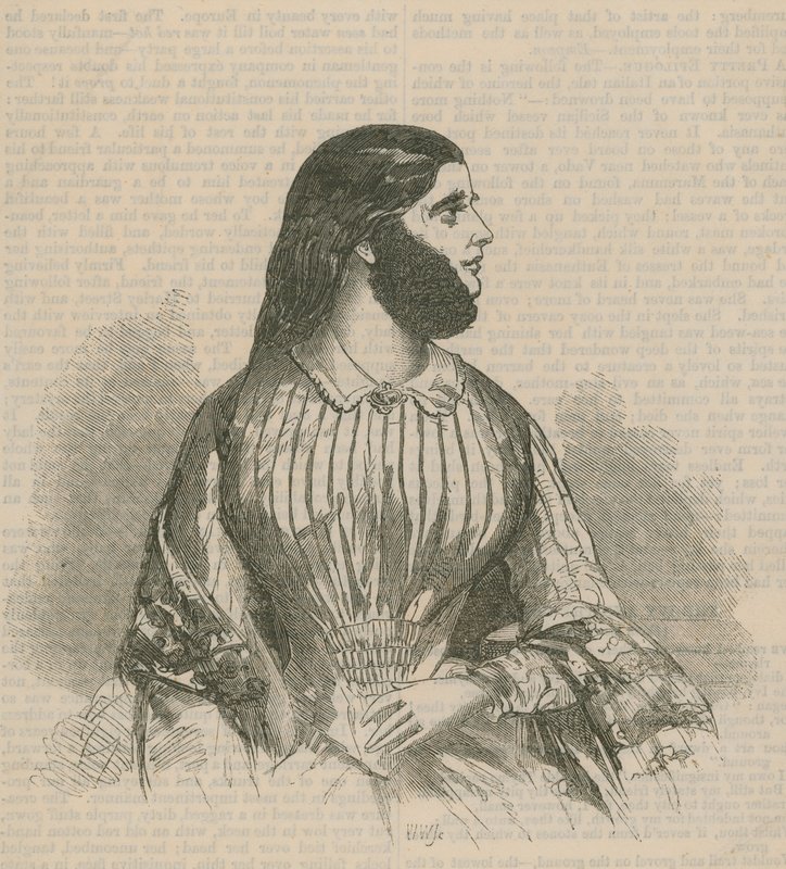 sakallı bayan by English School