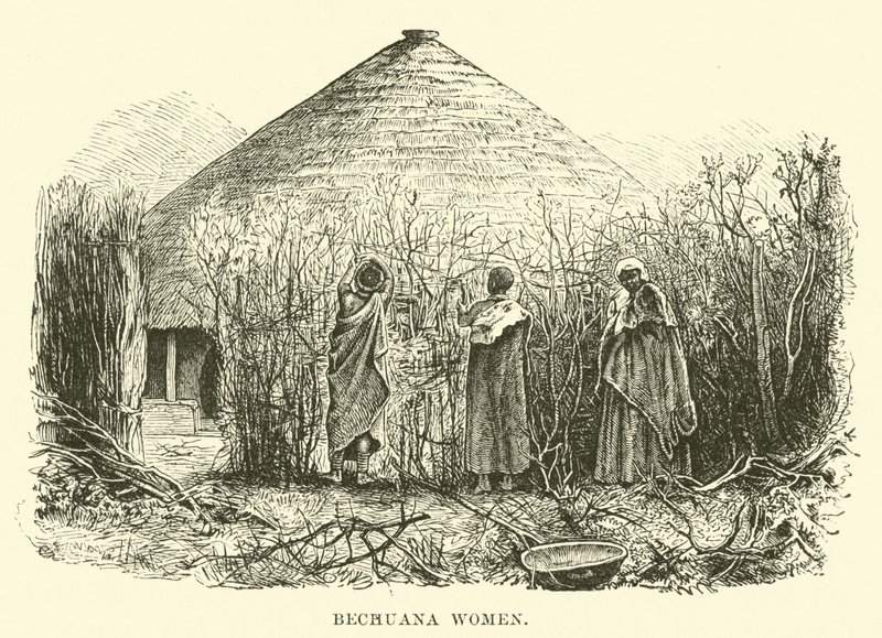 Beçuana Kadınlar by English School