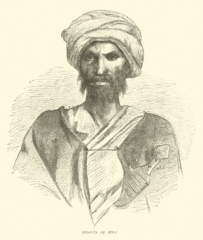 Sina Bedevi by English School