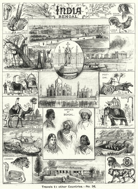 Bengal, Hindistan (gravür) by English School