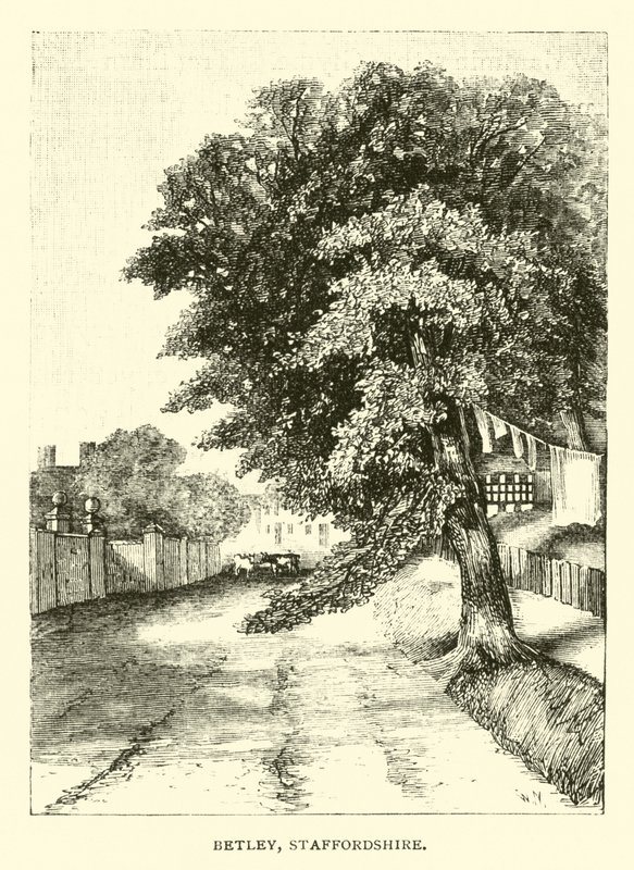 Betley, Staffordshire by English School