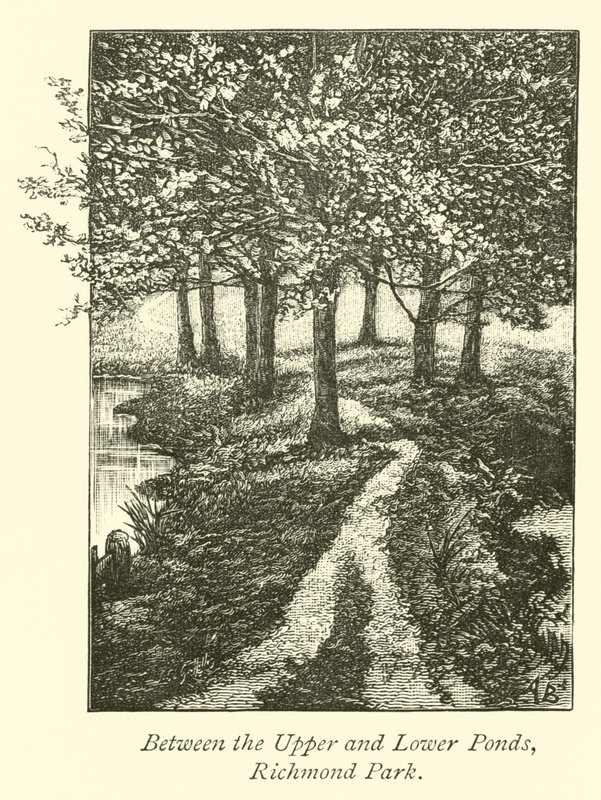 Yukarı ve Aşağı Göletler Arasında, Richmond Park by English School