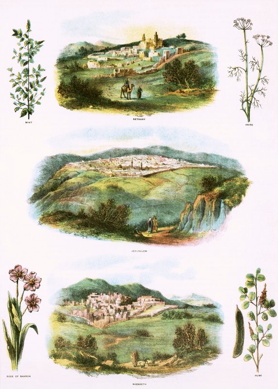İncil çizimler by English School