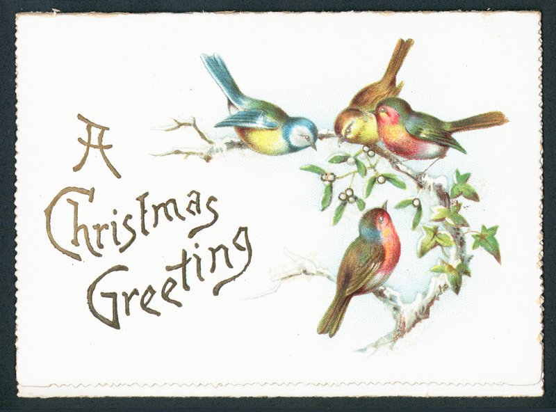 Mavi Göğüsler ve Robins, Noel Kartı by English School