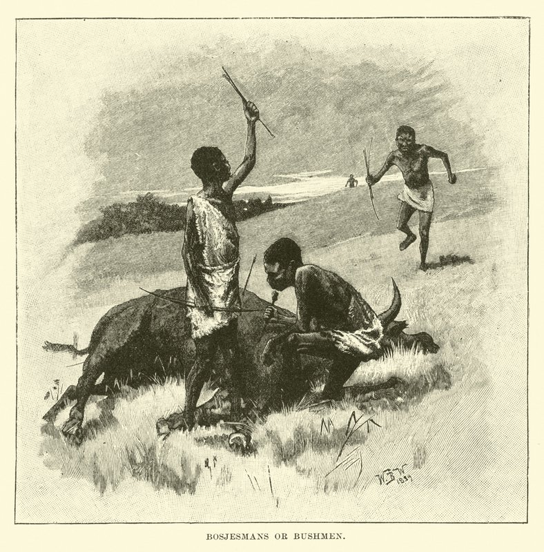 Bosjesmans veya Bushmen by English School