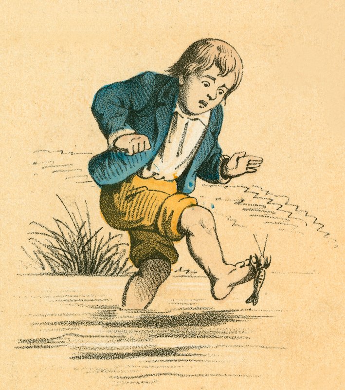 Boy whose toes are being bitten by a crayfish by English School