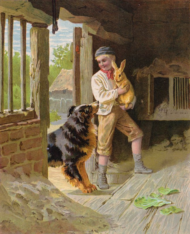 Çiftlikte köpeği ve tavşanı olan bir çocuk (chromolitho) by English School