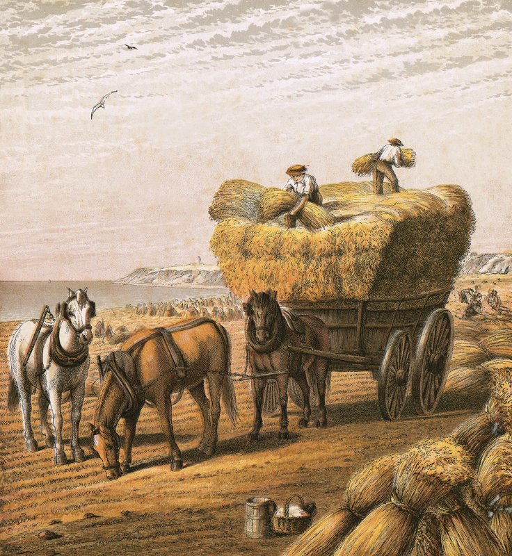 Bringing in the harvest by English School