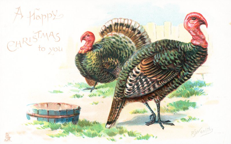 İngiliz Noel kartları by English School