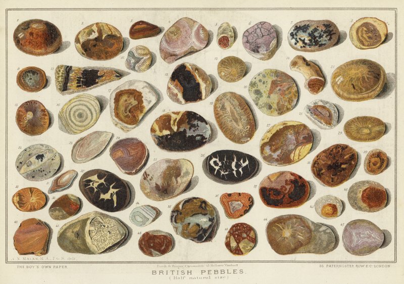 İngiliz Çakılları (chromolitho) by English School
