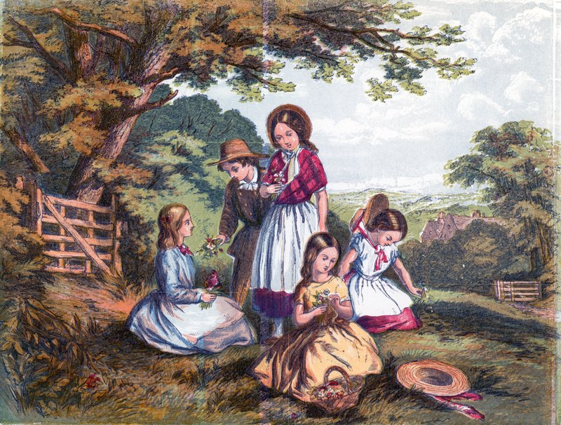 Kardeşçe sevgi by English School