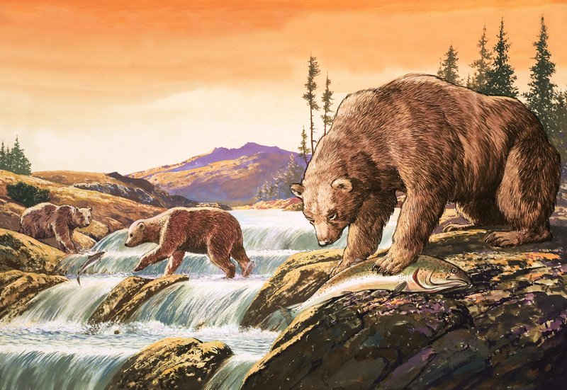 Alaska