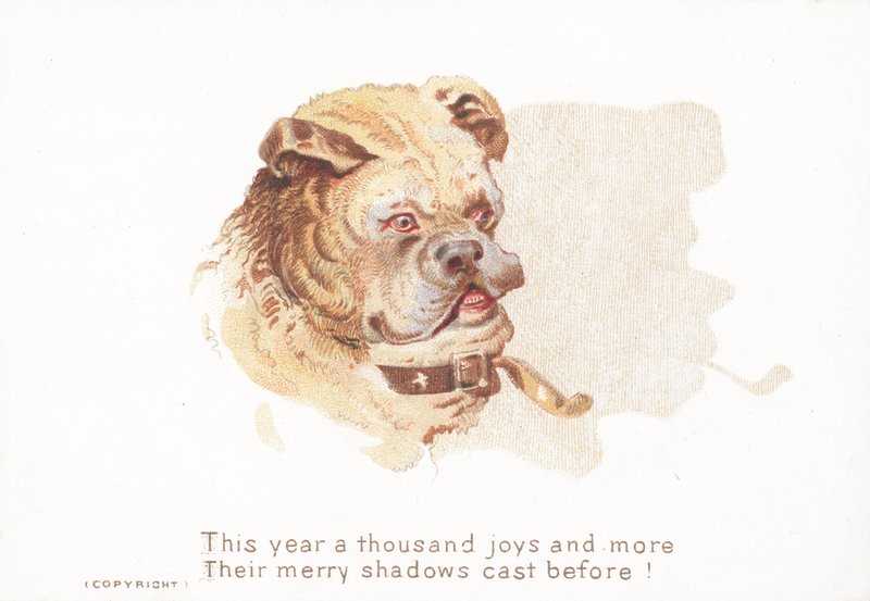 Bulldog ve Gölge, Noel Kartı by English School