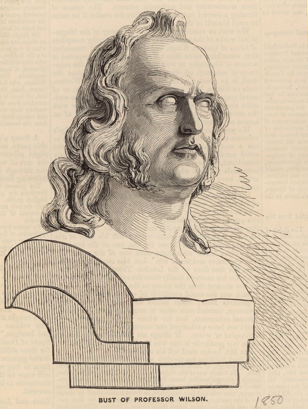 Profesör Wilson