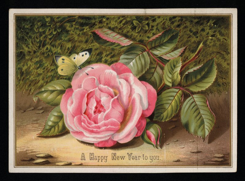 Pembe güllü kelebek, yılbaşı tebrik kartı (chromolitho) by English School
