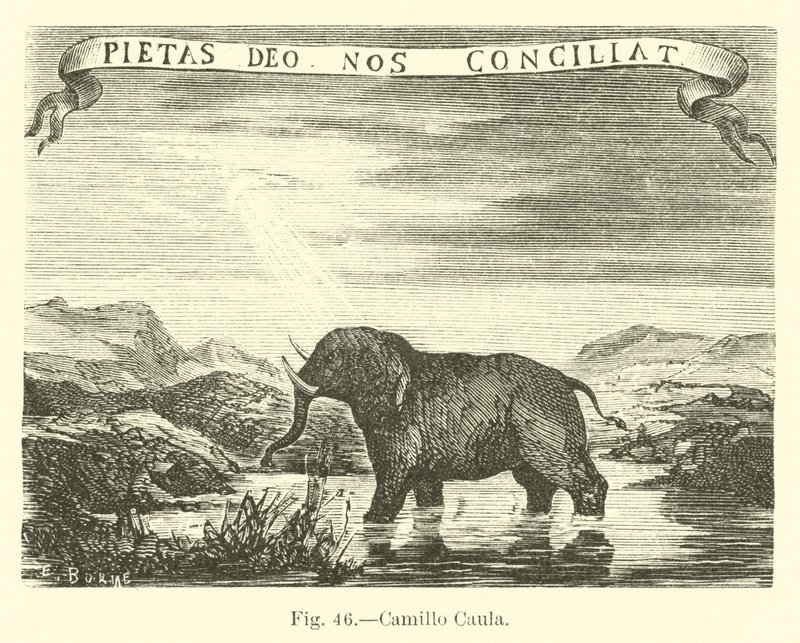 Camillo Caula by English School