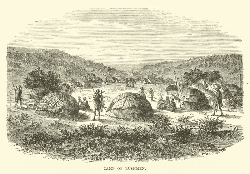 Bushmen Kampı by English School