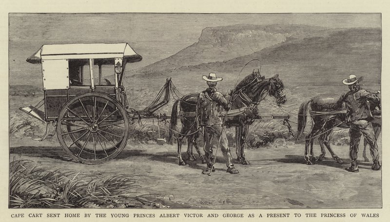 Cape Cart, Genç Prensler Albert Victor ve George tarafından Galler Prensesi