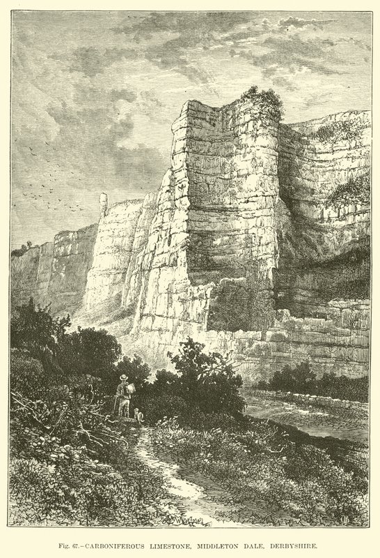 Karbonifer Kireçtaşı, Middleton Dale, Derbyshire by English School