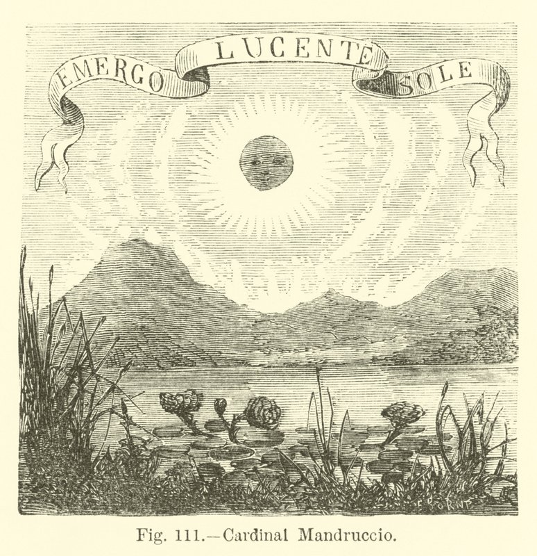 Kardinal Mandruccio by English School