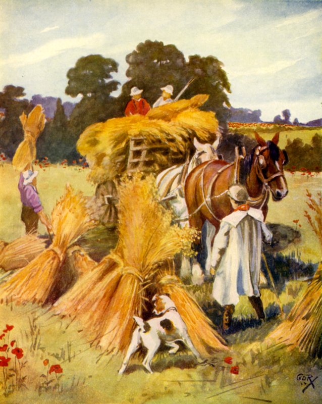 Mısırın Kartlanması (renkli taş) by English School