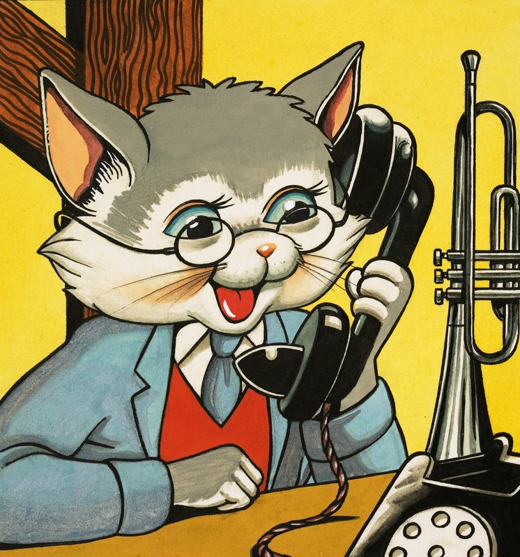 Telefona cevap veren kedi by English School
