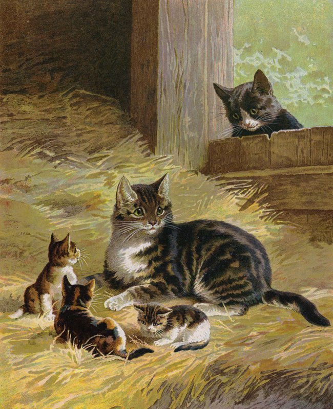 Bir ahırda yavrularıyla kedi (chromolitho) by English School