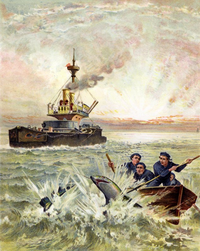 Tatar yakalamak by English School